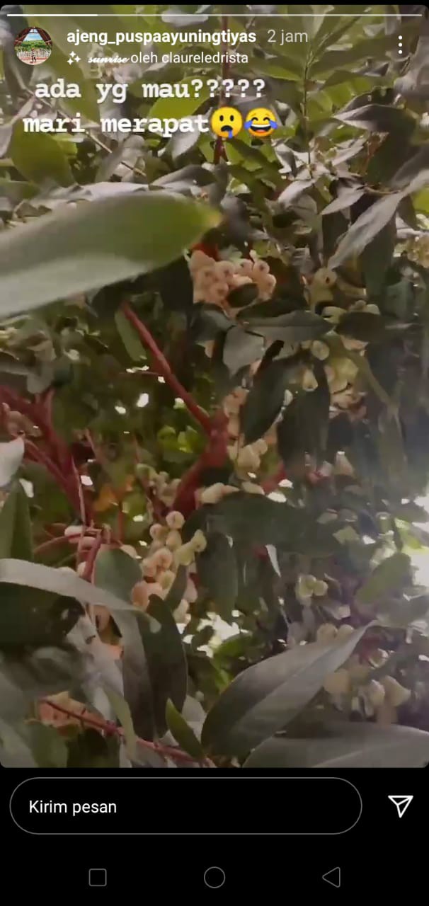 Maginot Kemeja Batik 2.0 Arka-ss Lengan Pendek Pria + Free Masker