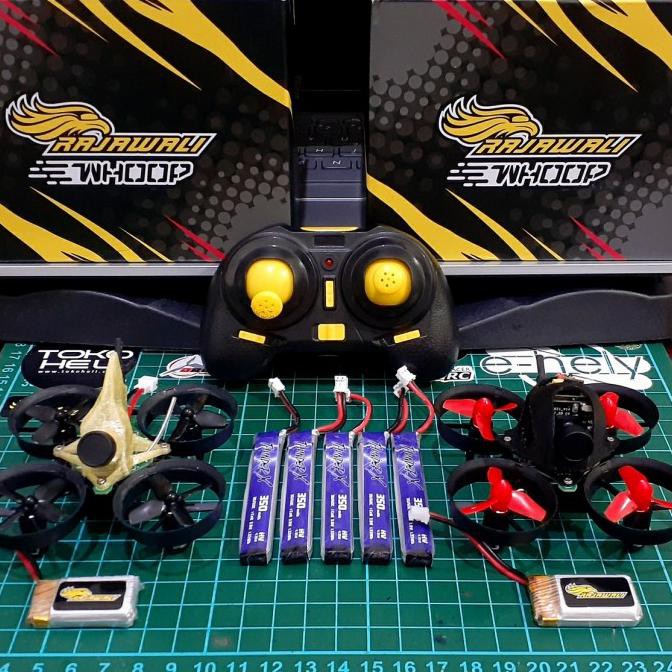 Rajawali Whoop + Fpv Camera Aio