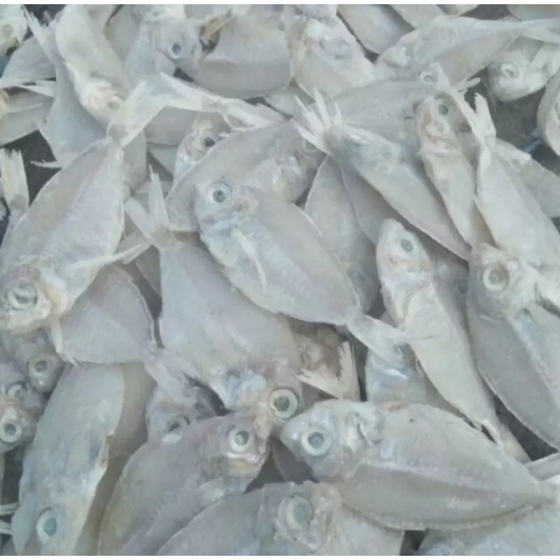 

Ikan Asin Kapasn 1kg