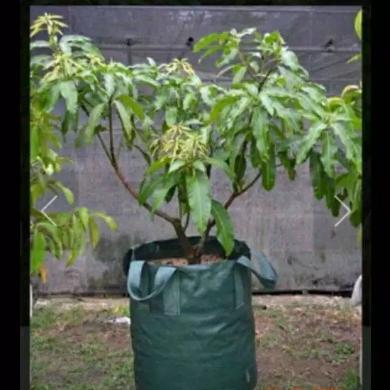 PLANTER BAG 200 LITER