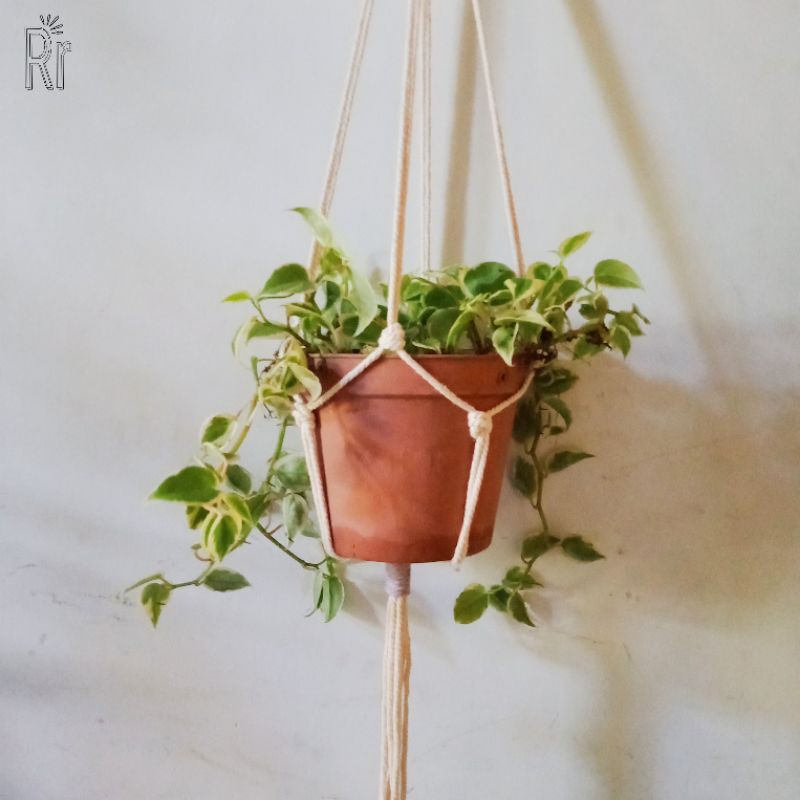 Jual Macrame Plant Hanger Makrame Pot Gantung Tanaman Murah Aesthetic