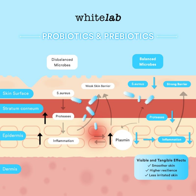 Whitelab Probiome Complex Serum