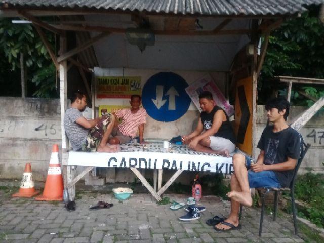 Br-16 Livina Laundry Brush 153  Sikat Lion Star