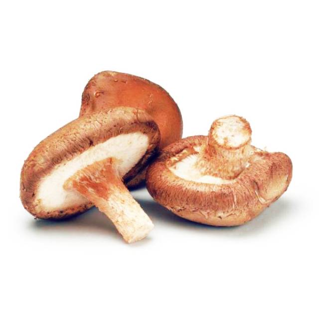 

Jamur Sintake (50 gram)