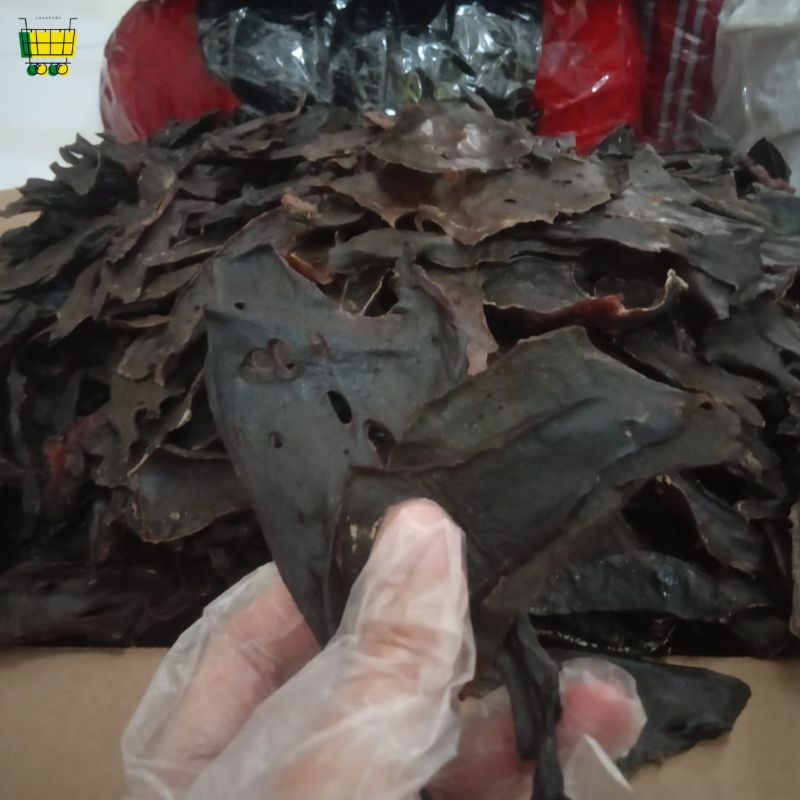 

HATI UNTA KERING IMPOR MESIR | 100gram