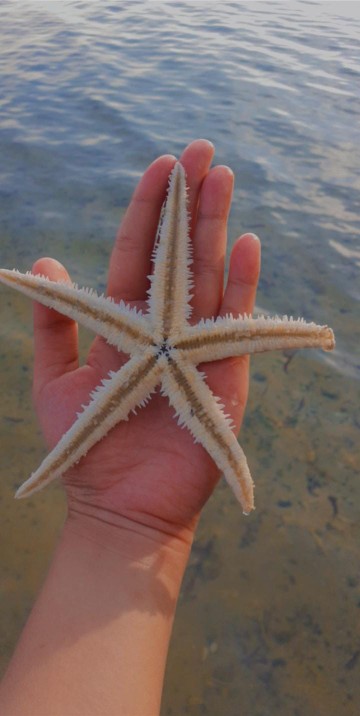 Maura Couple - Sania Ruffle Batik Couple Ori Ndoro Jowi Dnt Garansi Termurah Shopee - Cp New Ramadha