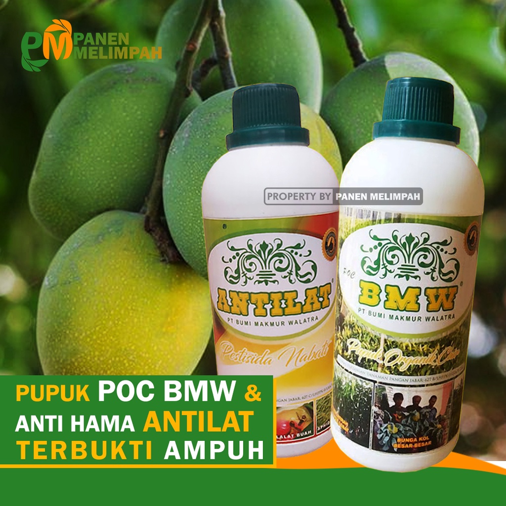 Jual Pupuk Organik Cair Poc Penyubur Tanaman Pelebat Buah Mangga