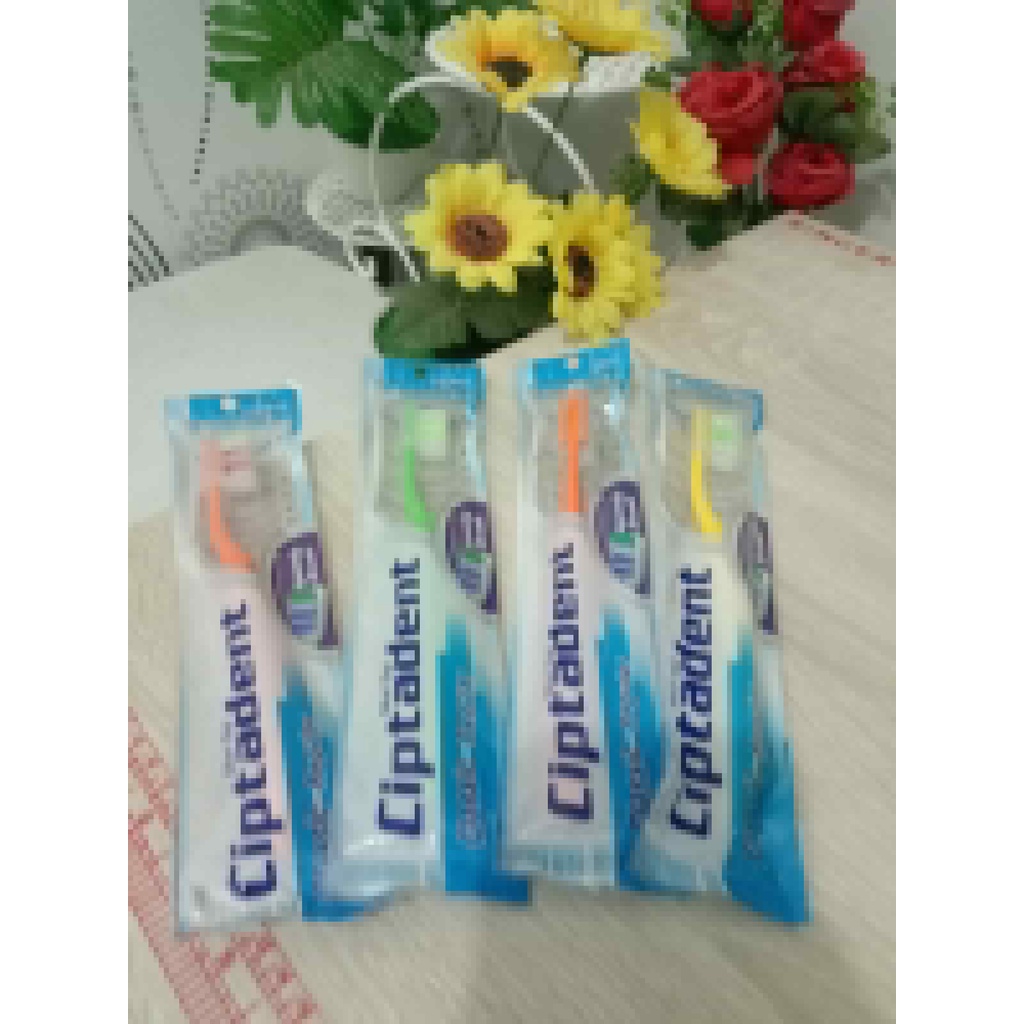 CIptadent Sikat Gigi Classic Regular Ecer