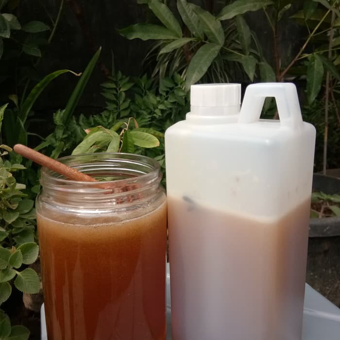 

Madu asli nektar bunga durian netto 1000 gr - MMD1249