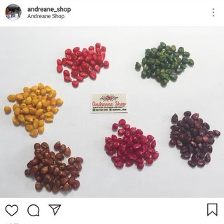 9600 Koleksi Gambar Kolase Dari Jagung Kering Gratis Terbaik