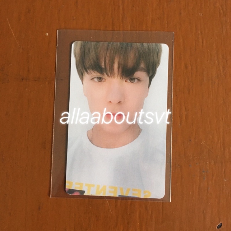 SEVENTEEN ZOZOTOWN VERNON PHOTOCARD SEVENTEEN CAFE CHEESE PARK TC
