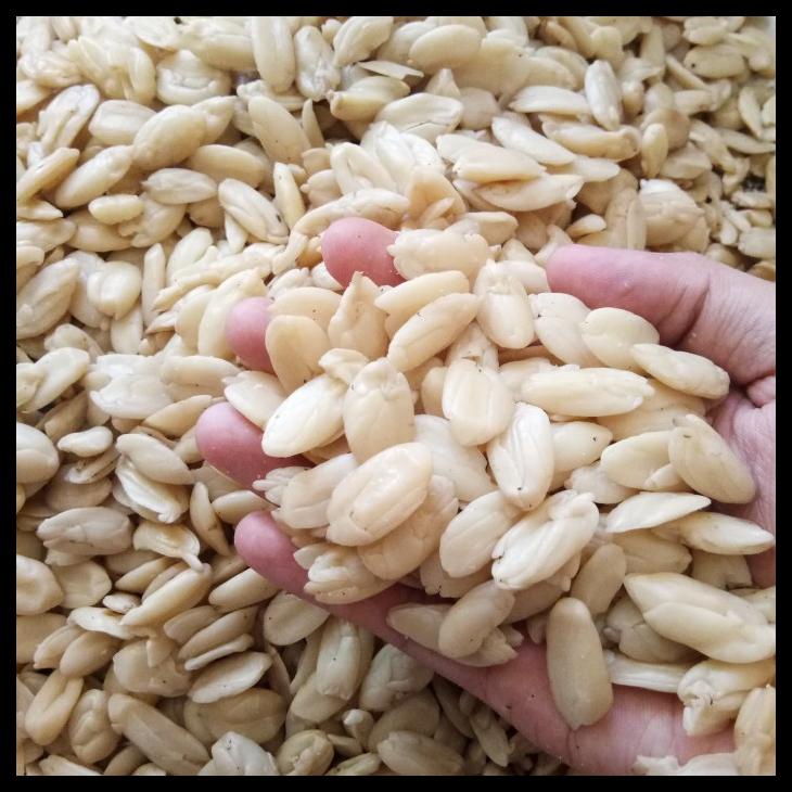 

DISKON TERBATAS !!! SUPPLIER KACANG KENARI KUPAS UTUH - 1KG TERLARIS
