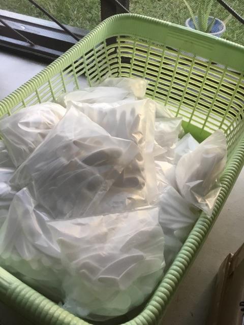 【jlnm】100pcs Mini Cosmetic Spatula Scoops Disposable Mask Spatula Plastic Spoon Set