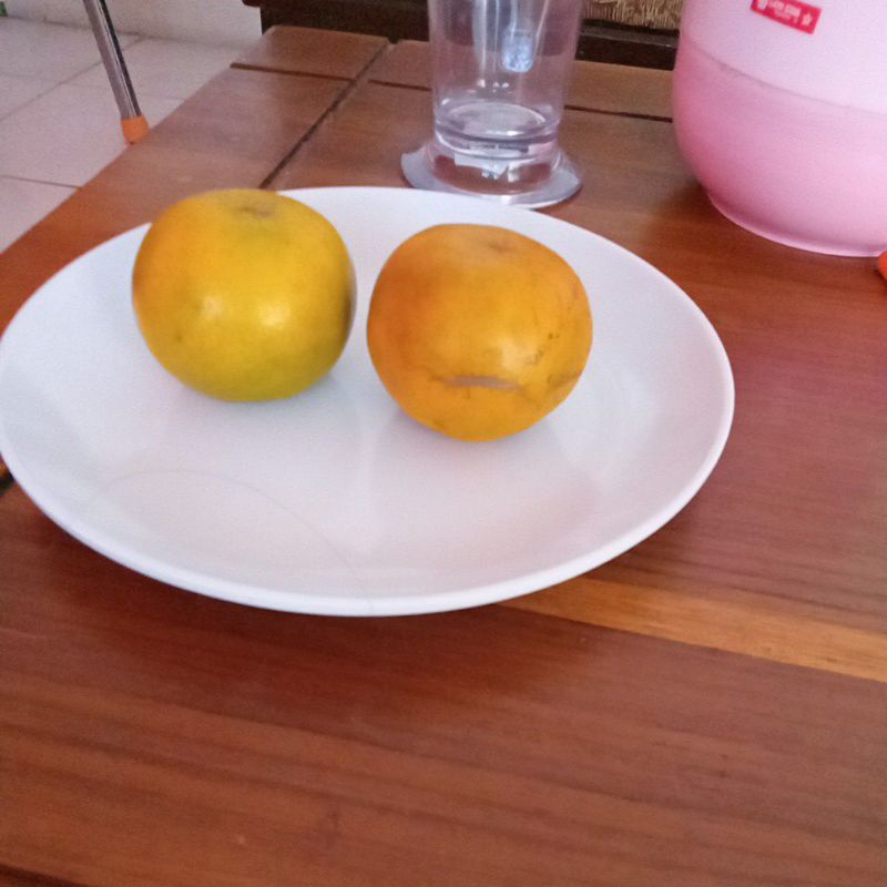

Buah Jeruk