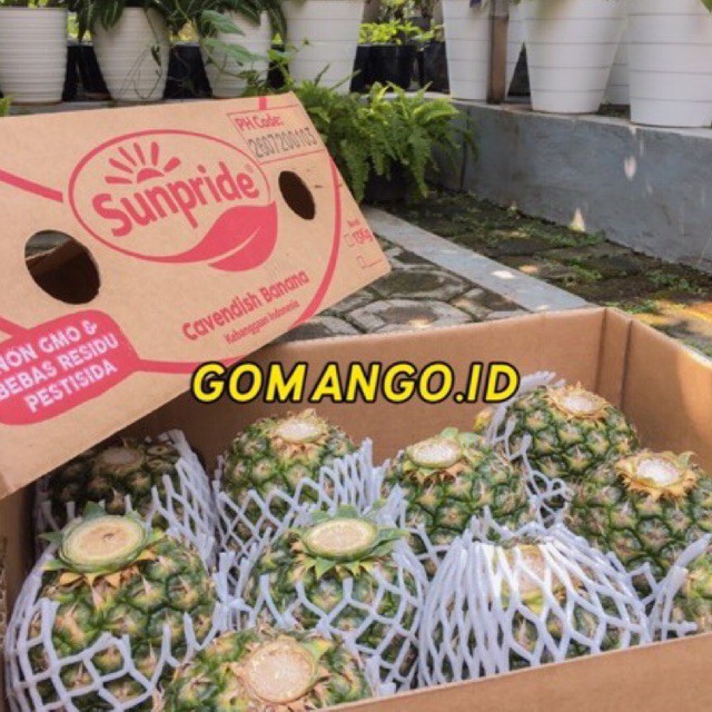 

PROMO NANAS SUNPRIDE JUMBO