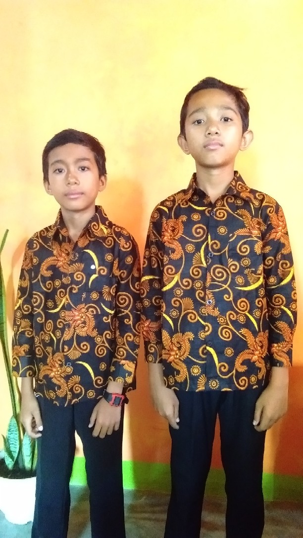 (bisa Cod) Baju Batik Anak Laki-laki Lengan Panjang Bisa Buat Sekolah Hari Batik//usia 2-10 Tahun
