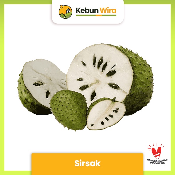 

Sirsak | Soursop Fruit