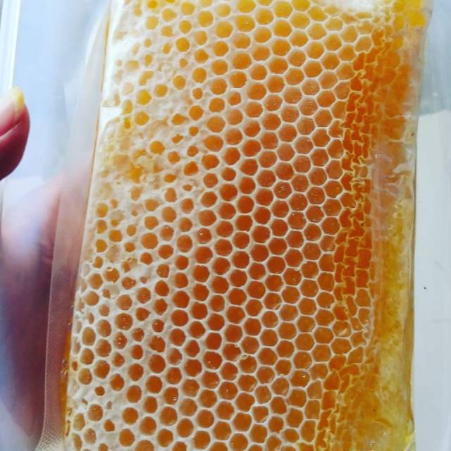 

Madu sarang 500 gram