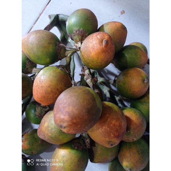 

buah pinang tua / 250 gram