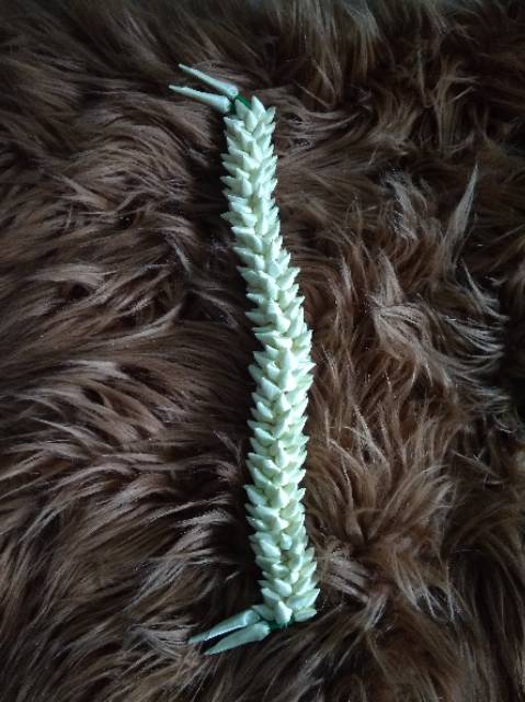 Melati bando keket/bando melati