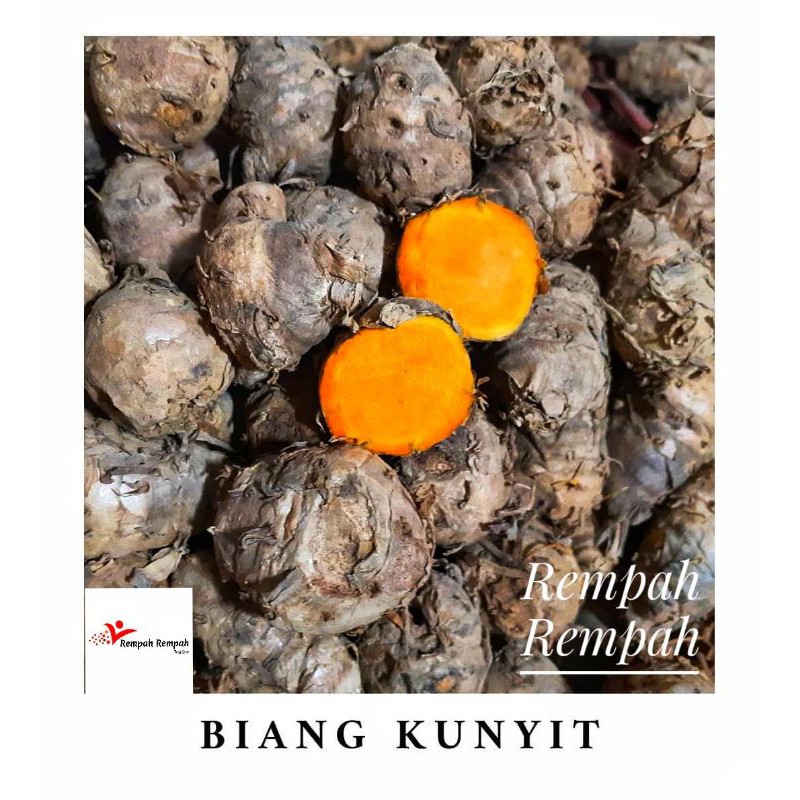 

Biang Kunyit 1000gram / 1kg