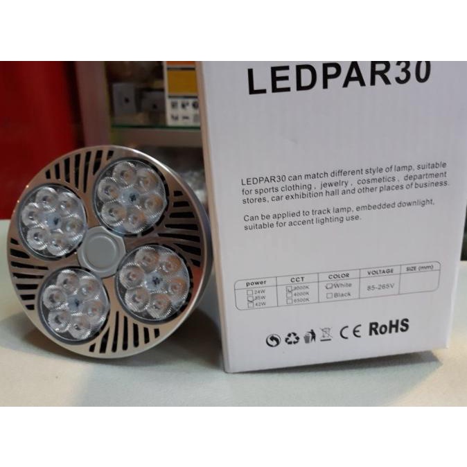 Yamasaki LED PAR30 35 Watt