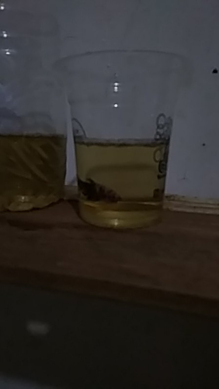 W-24 Atasan Batik Wanita Katun Strecth Lengan 3/4 Untuk Kerja Kantoran Modern