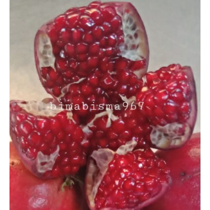 

buah delima merah besar 1kg