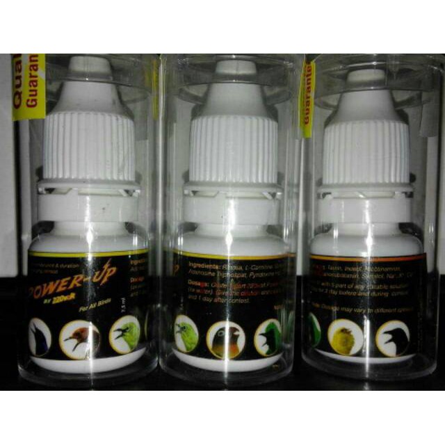 ✧ Power up 220volt pleci dan burung lain ✧-1