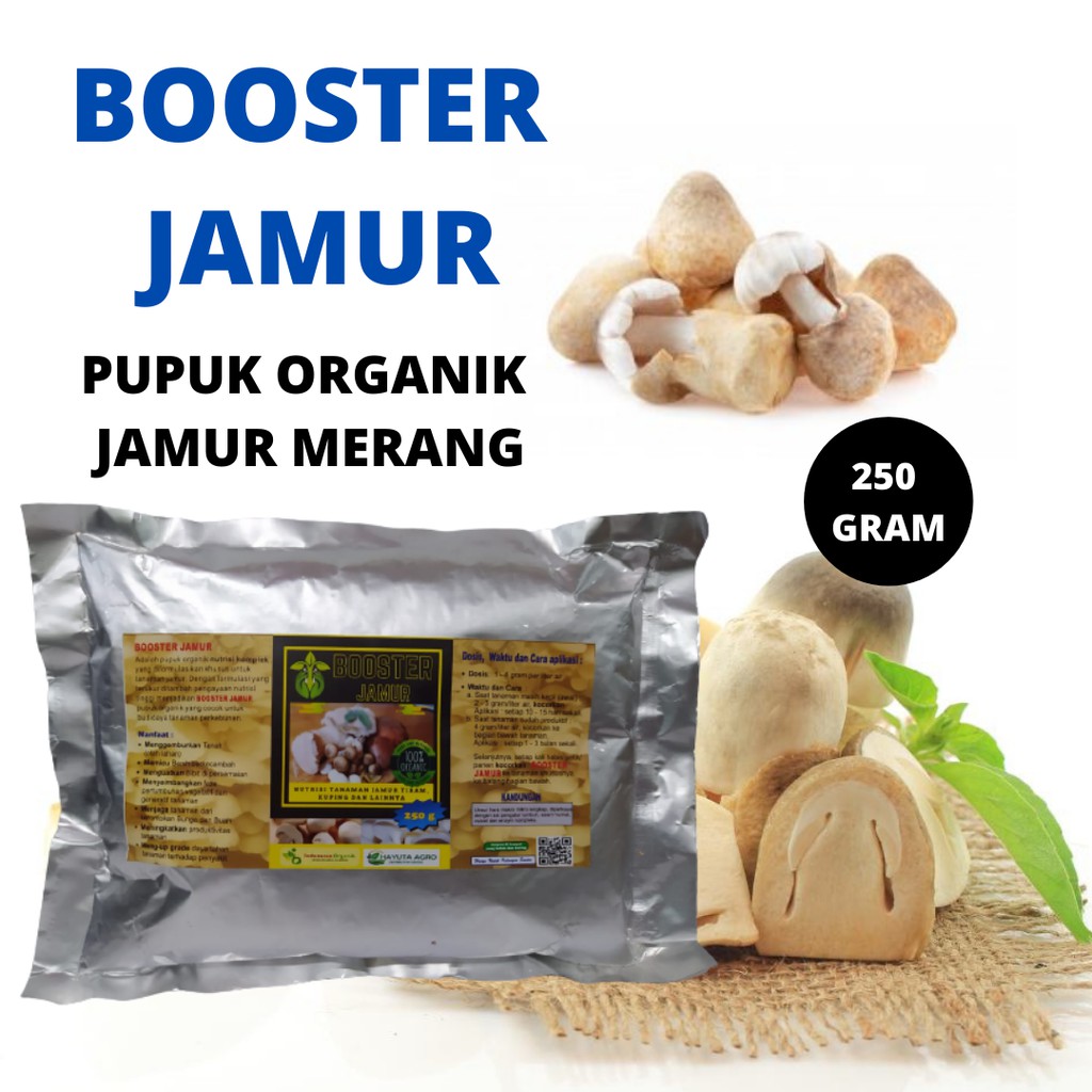 Pupuk Perangsang Pertumbuhan Jamur Tiram, Nutrisi Penyubur Jamur Tiram
