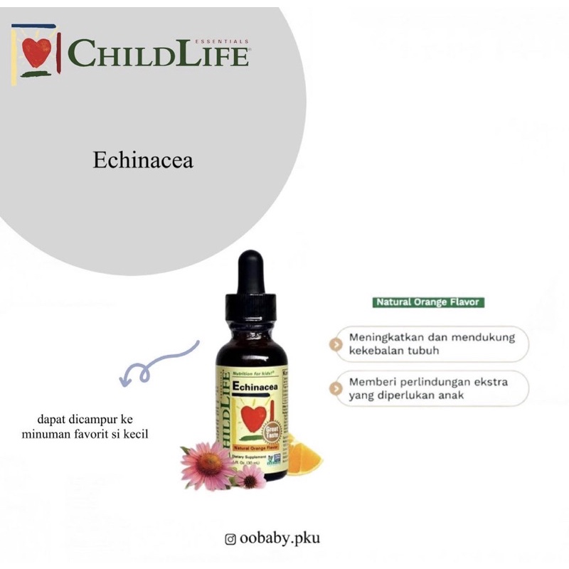 Jual childlife echinacea | Shopee Indonesia