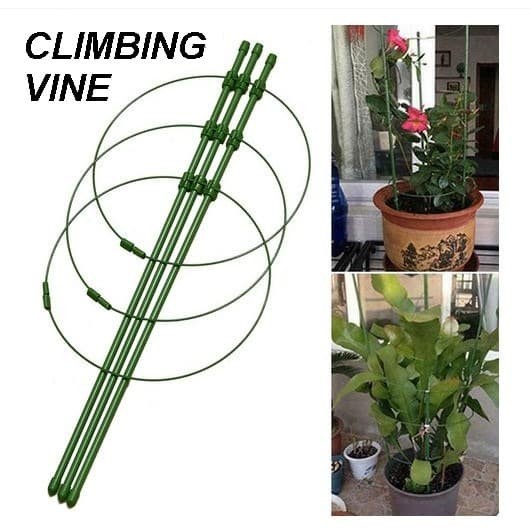 Cllimbing Vine - Penyangga Tanaman Rambat