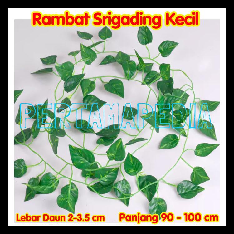 Daun Rambat Plastik/ Daun Rambat Palsu/ Daun Rambat Sintetis. Terlengkap