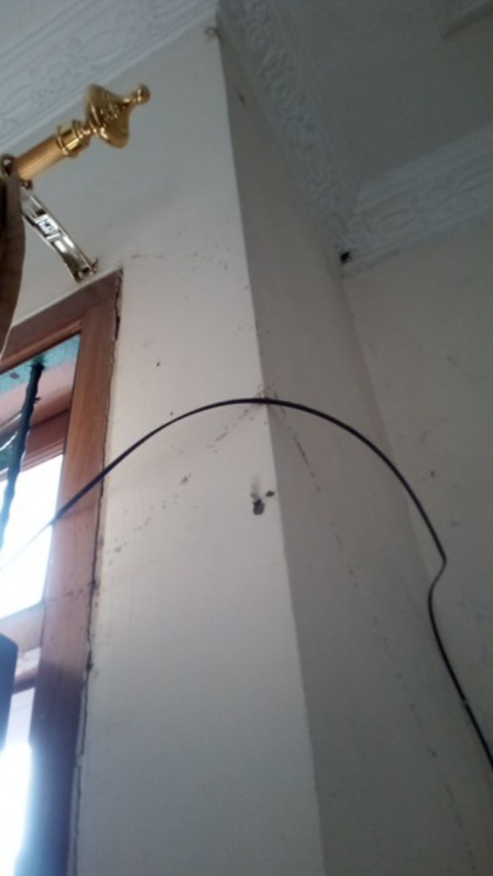 Obat / Racun Anti Semut Ampuh (mati Di Sarang)