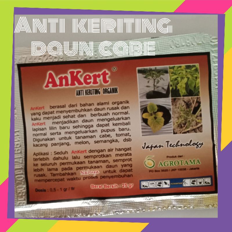 Ankert Obat pertanian obat daun cabe obat daun cabe keriting obat cabe keriting obat cabe