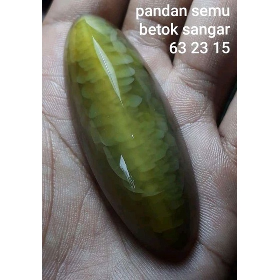 Pandan Lumut semu hijau