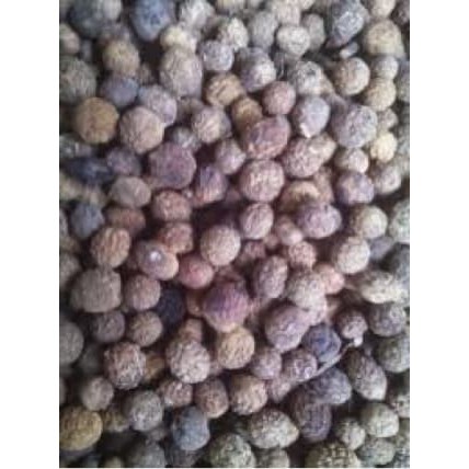 1 biji buah bidara/daun bidara arab