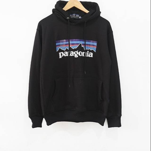 Hoodie PATAGONIA