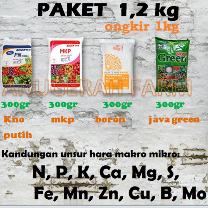 kno3 putih mkp boron java green mikro pemanis buah pembesar buah anggur cabai tomat stroberi timun j