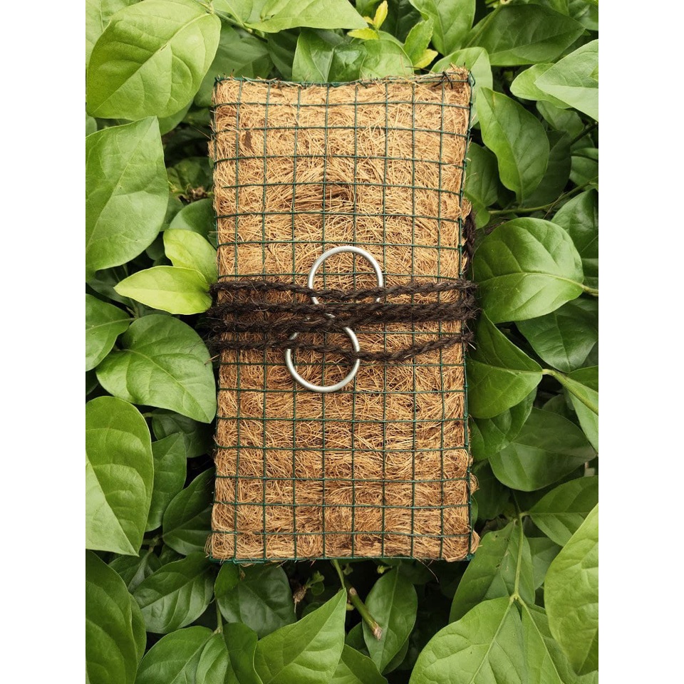 Media tempel media tanam anggrek bunga tempel