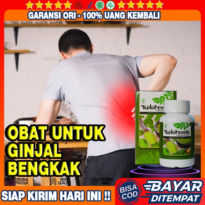 Obat Ginjal Bengkak, Obat Ginjal, Obat Ginjal Bocor, Obat Kaki Bengkak Akibat Sakit Ginjal