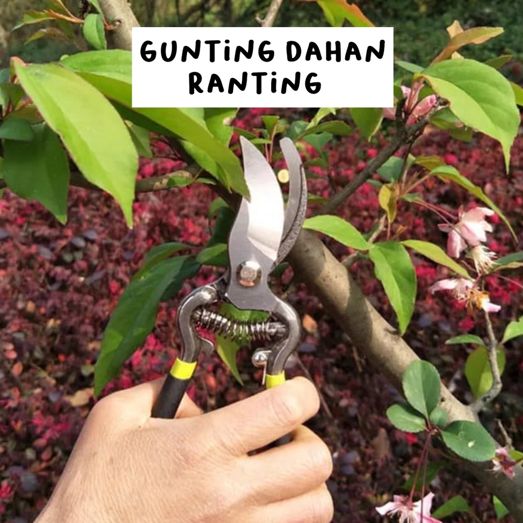 Pruner gunting universal // gunting sebaguna // gunting  dahan 8”