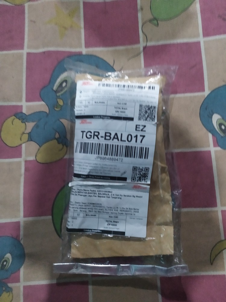 Benih Biji Zinnia Binnary Bright Mix Fullcolour Warna Warni 10 Seed