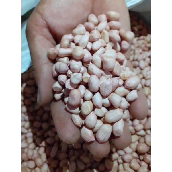 

kacang tanah 13000/ 500gr