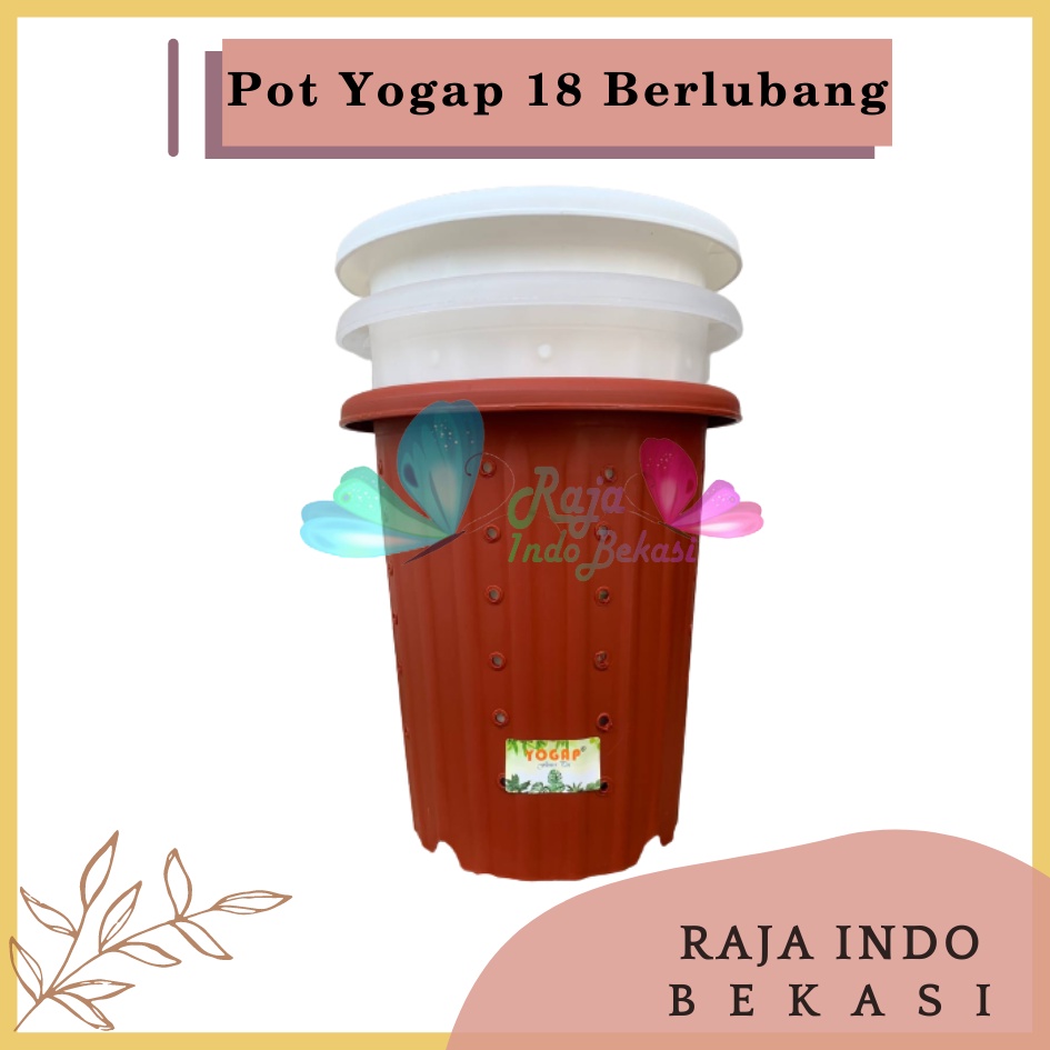 Pot Yogap 18 Putih Bening Transparan Merah Bata Merah Coklat Terracota Terracotta Berlubang POT BUNGA YOGAP 18 DIAMETER 21 cm BERLUBANG