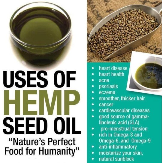 Hemp Seed Oil Cold Pressed 25ml Food Grade Limited