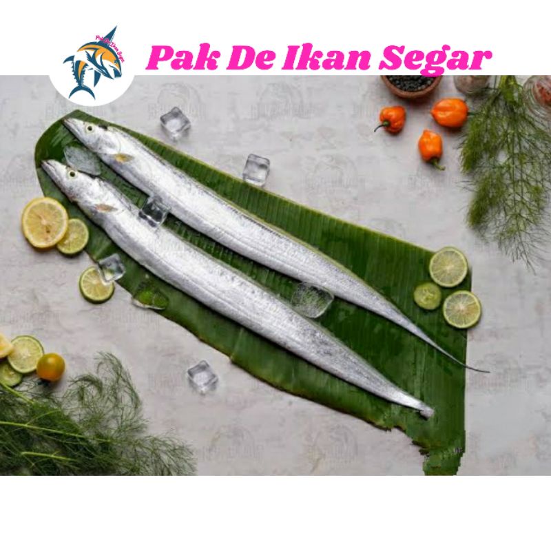 

Ikan Layur Segar. 1-5 ekor per kg