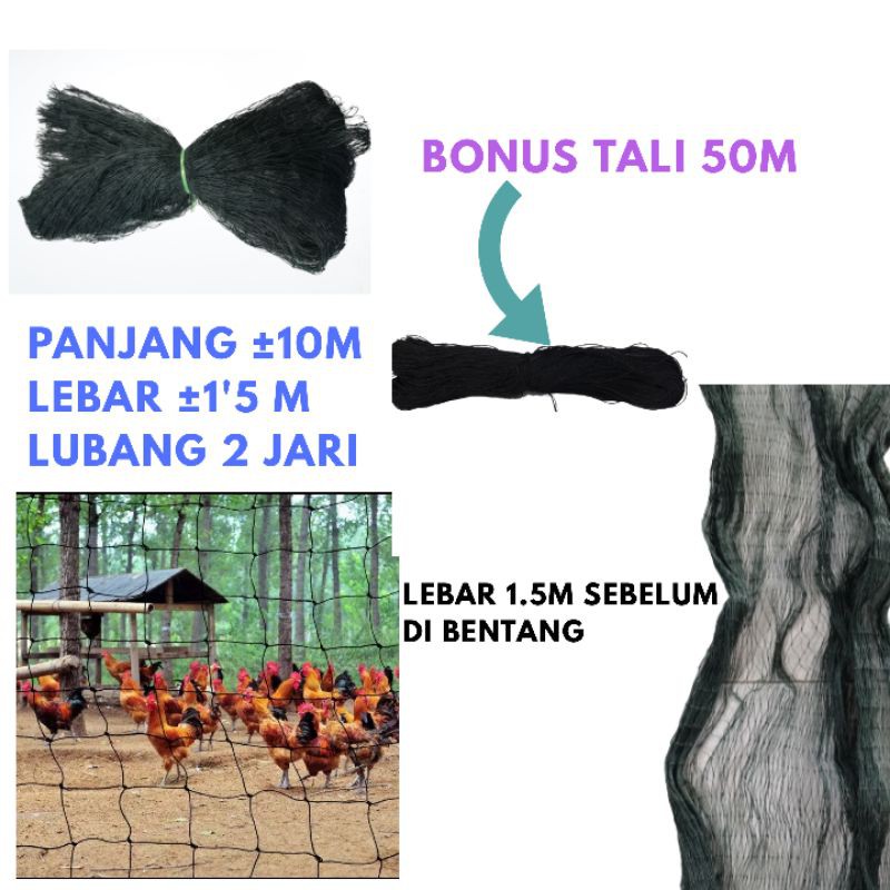 Jaring Pagar Ayam Jaring Ayam Jaring Kandang ayam lubang 2 jari