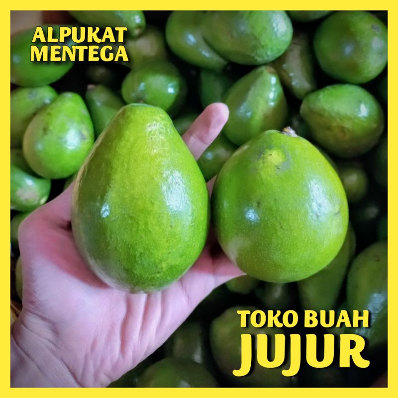 

ALPUKAT MENTEGA BABY SUPER