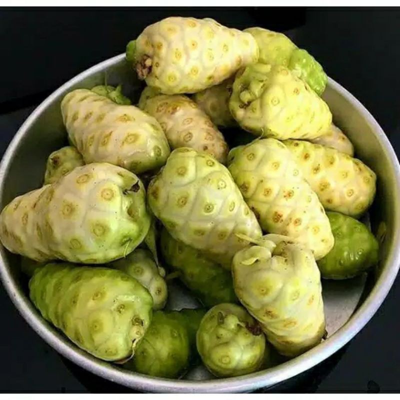 

buah mengkudu segar pilihan 1kg murah